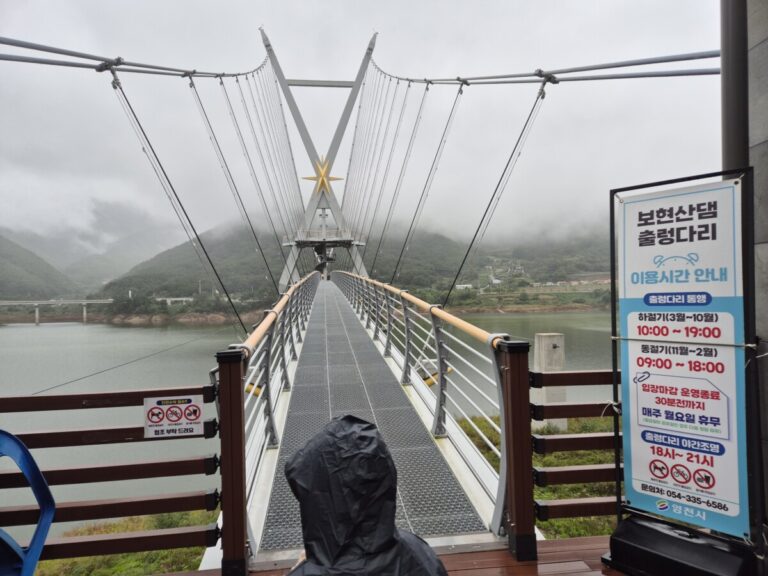 영천 보현산 자연휴양림 숙박 후기 | 아이들과 떠난 짜릿한 짚와이어 체험
