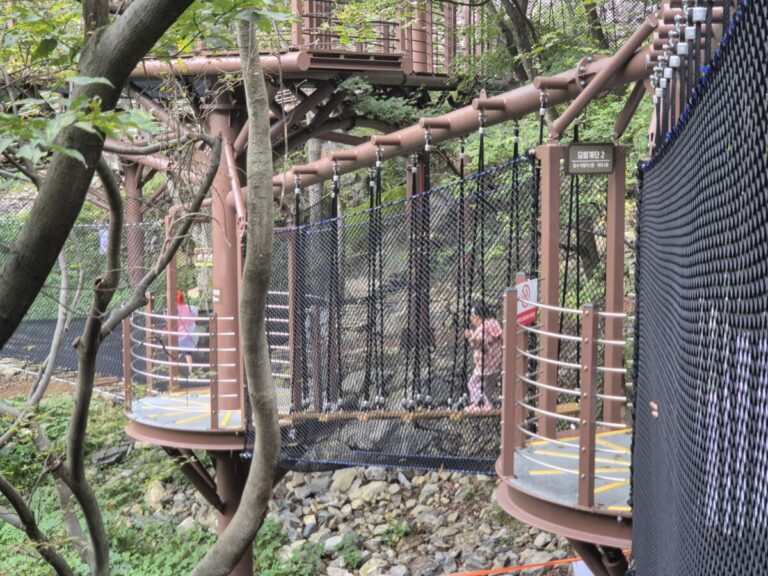 밀양 도래재 자연휴양림 2박3일 여행기 – 둘째 날 알찬 코스 대공개! 🌲